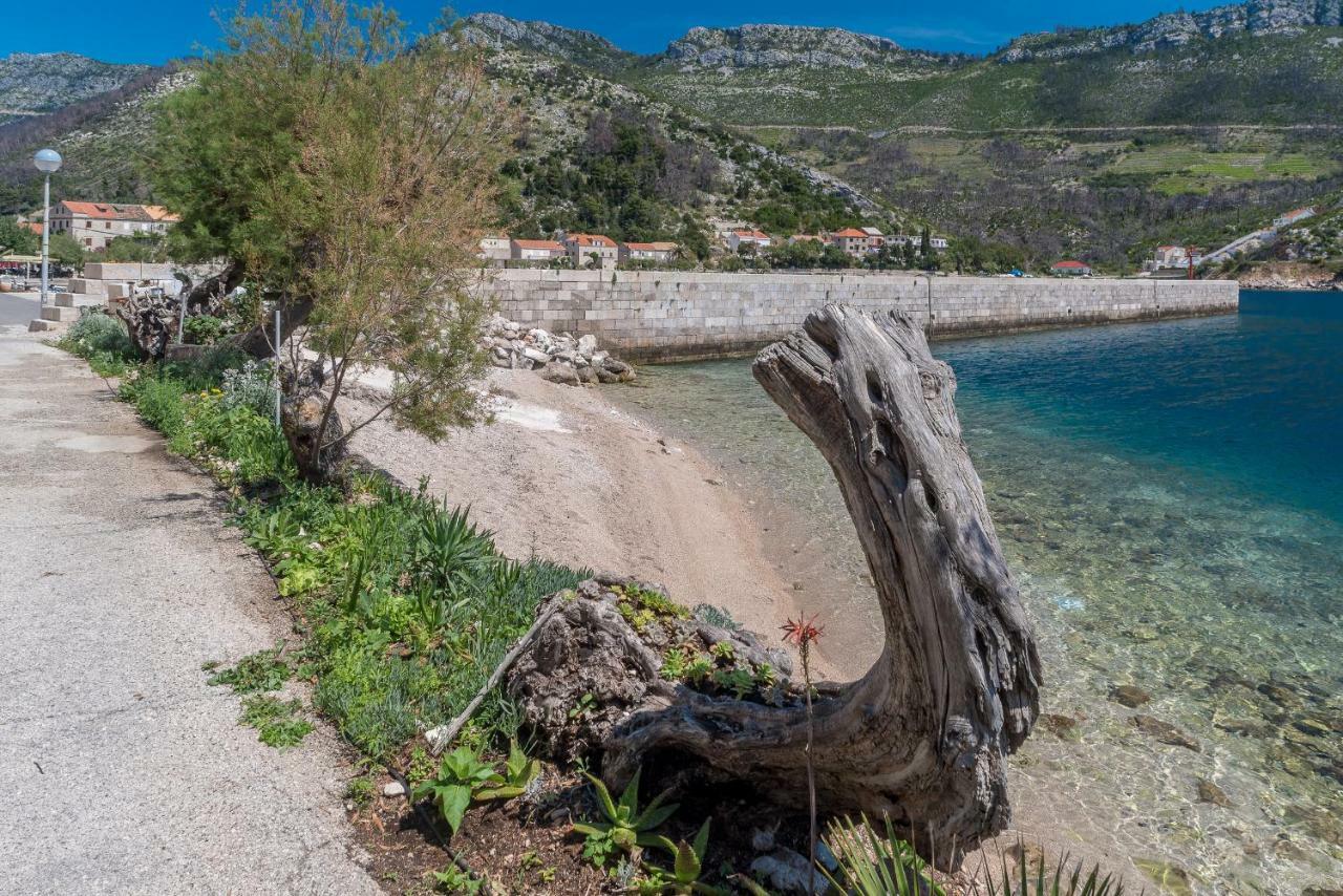 Apartment Matijas Trstenik  Bagian luar foto